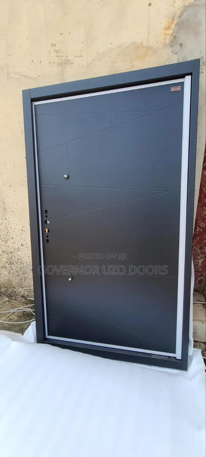 Pivot Security Door
