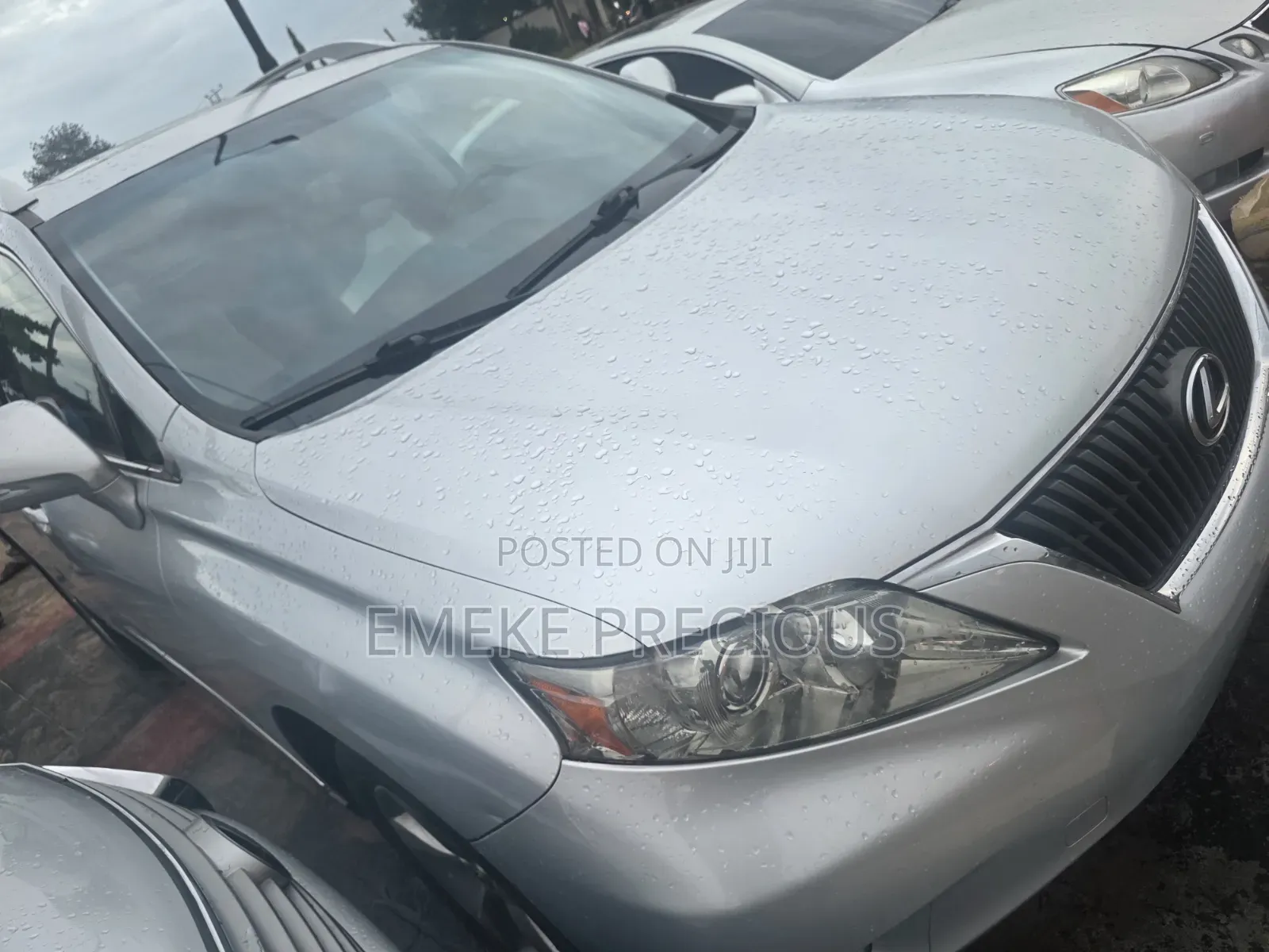 Lexus RX 2010 Silver