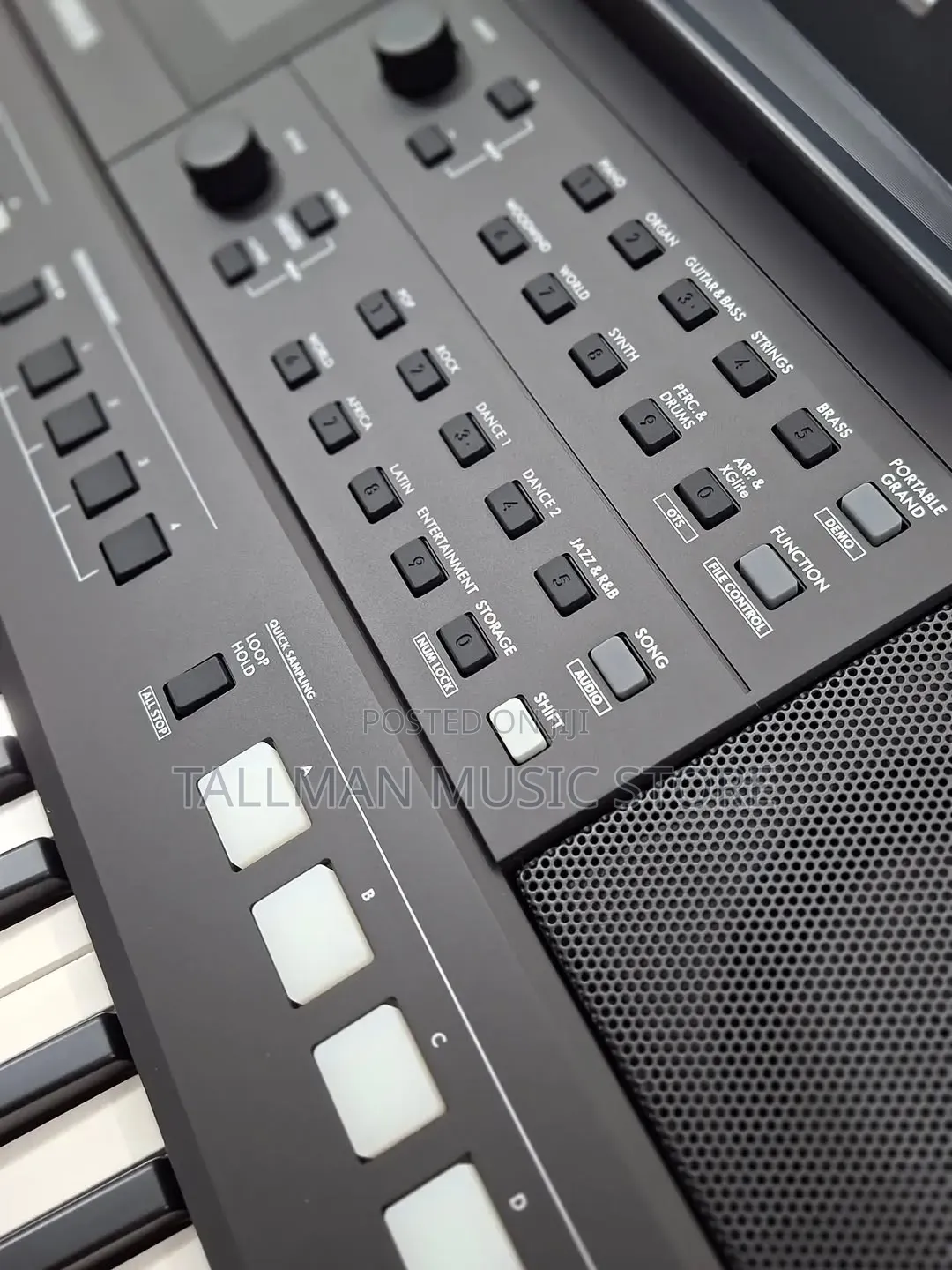 Yamaha PSR E483