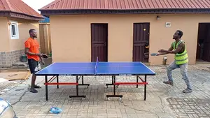 Water Resistance Standard Table Tennis Board