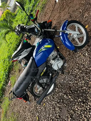 TVS HLX Plus ES 2024 Blue