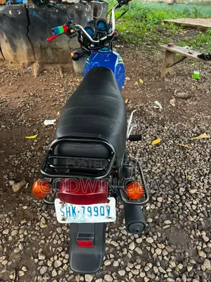 TVS HLX Plus ES 2024 Blue