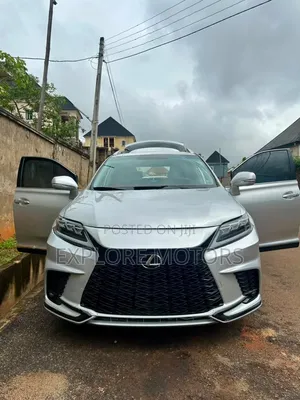 Lexus RX 2010 Gray