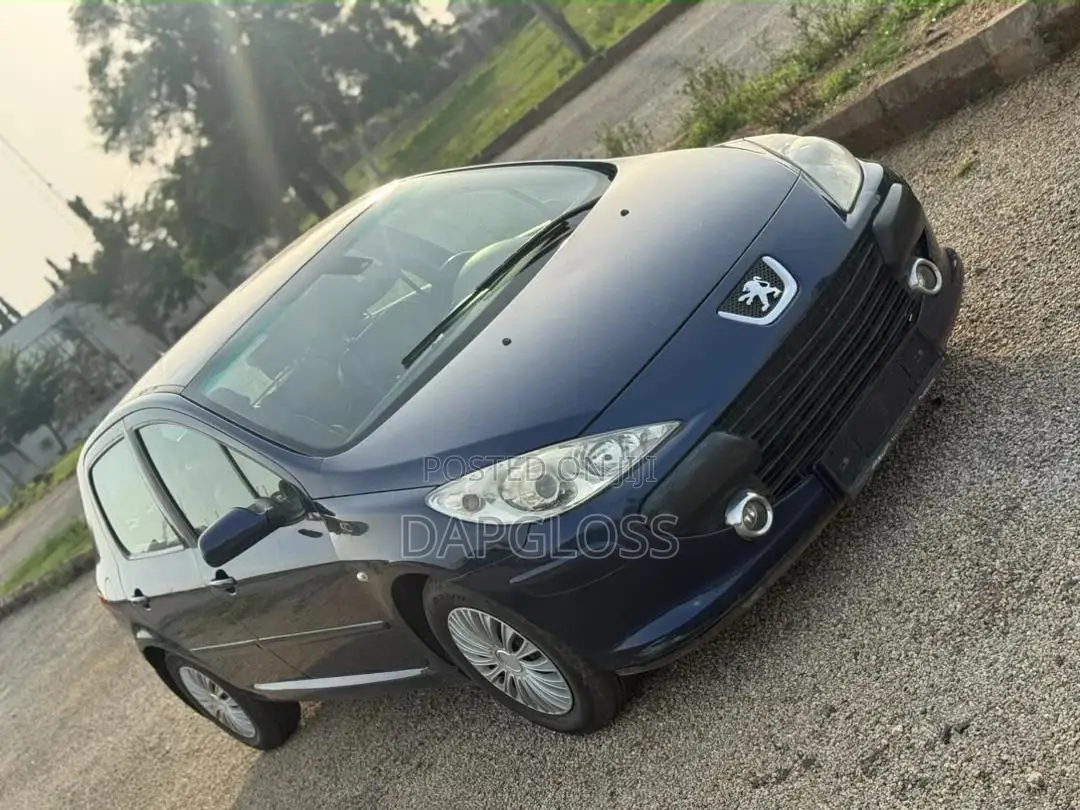 Peugeot 307 2007 Blue