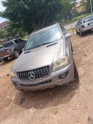 Mercedes-Benz M Class 2009 Gray
