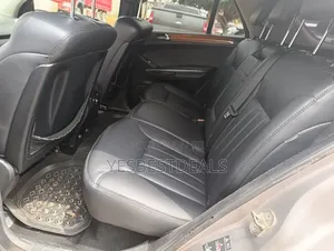 Mercedes-Benz M Class 2009 Gray