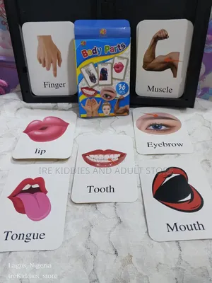 3packs of Educational Flash Cards