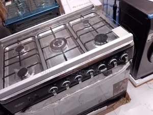 Standing Gas Oven