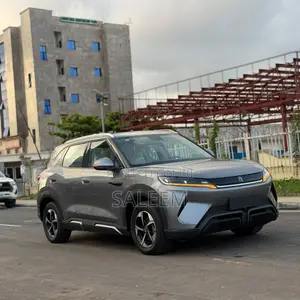 BYD Yuan Up 2024 Gray