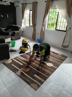 Carpet Rug /Sofa Cleaning