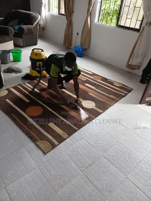 Carpet Rug /Sofa Cleaning