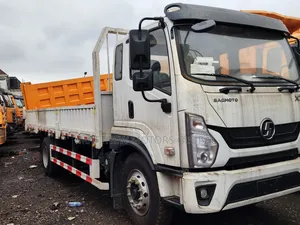 Brand New Shacman Sagmoto Truck