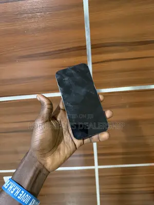 Apple iPhone 13 Pro Max 128 GB Gray
