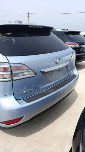 Lexus RX 2010 Blue