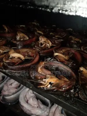 Smoked Catfish