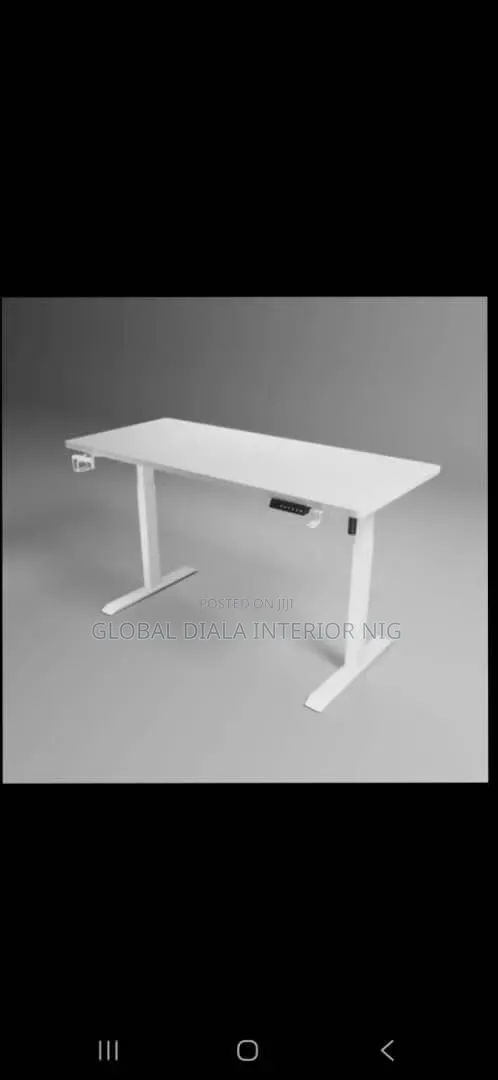 Electric Sit-to-Stand Adjustable Desk