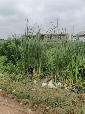 Full Plot in a Good Area at Owode Before Owode Bus Stop