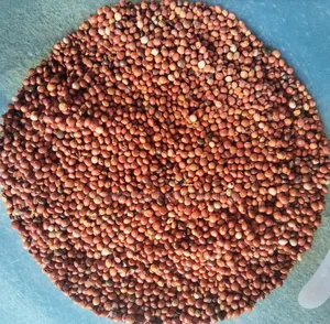 Premium Fio Fio (Pigeon Pea) Clean, Fresh Quality Nigerian Foodstuff