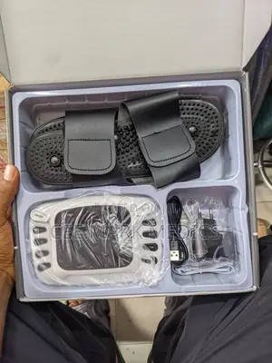 Electronic Masaager