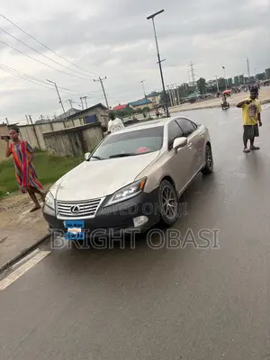 Lexus ES 350 2010 Gray