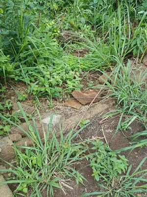 One Plot of Land Buy and Build