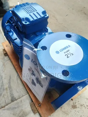 Standard 2/2 Lowara Pump Italian