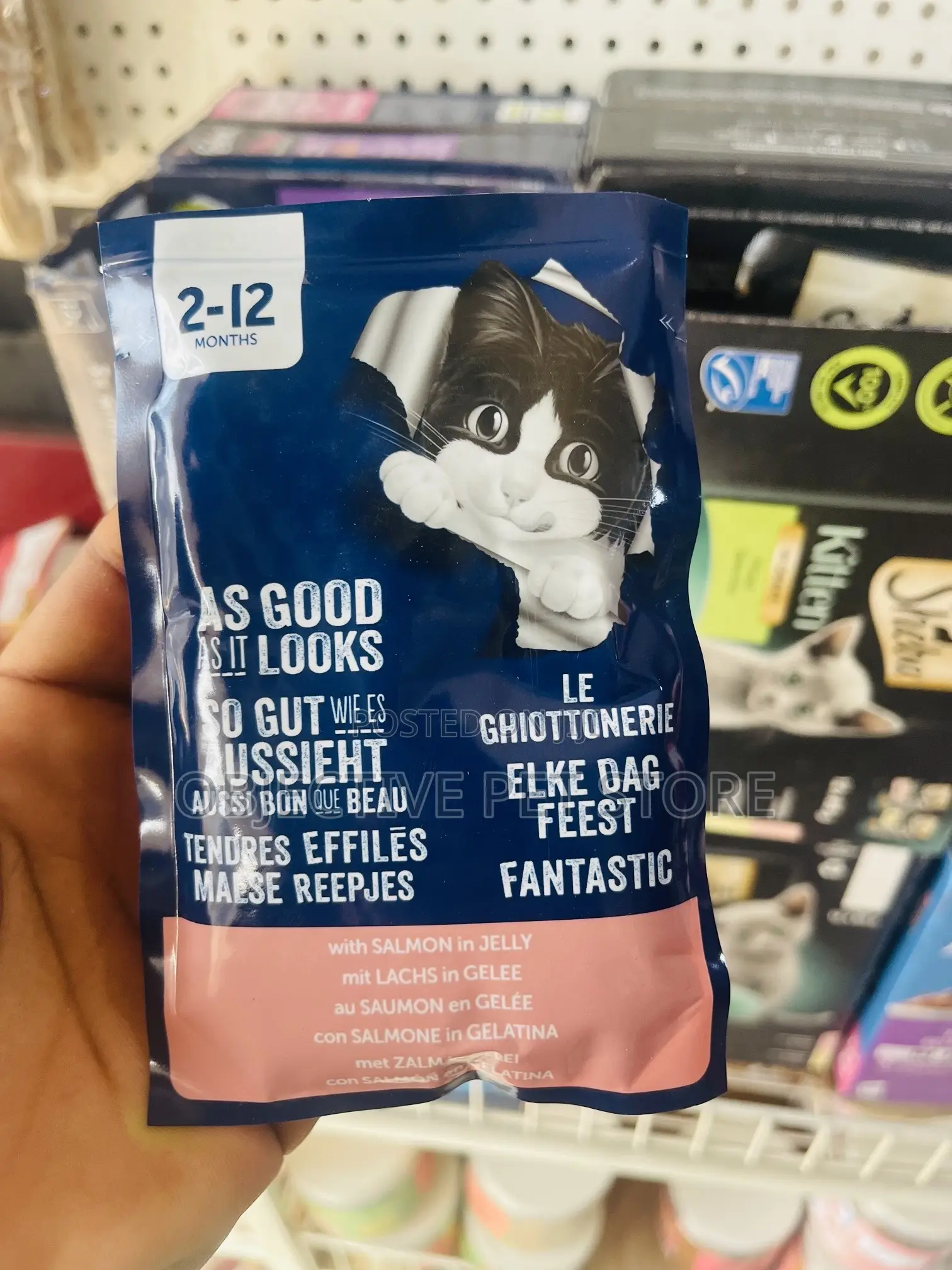 Cat Treats