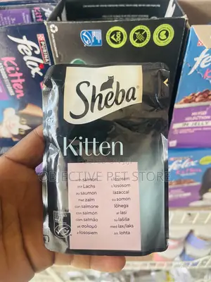 Cat Treats
