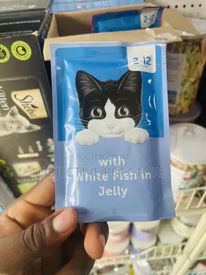 Cat Treats