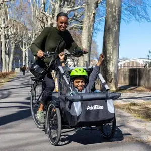 Schwin Best Bike Trailer for Kids Stroller While Riding Bicycle Comfor