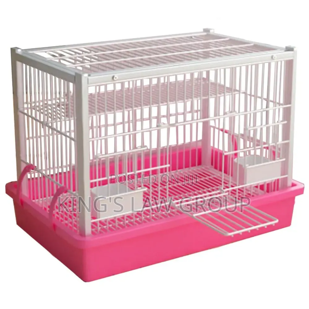 Cat Cage (Layer 1)