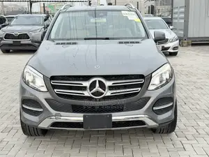 Mercedes-Benz GLE-Class GLE 350 2018 Gray