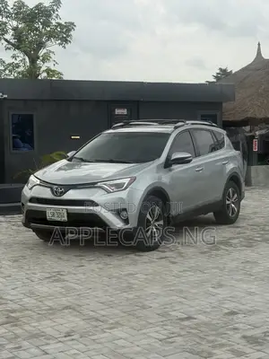 Toyota RAV4 XLE AWD (2.5L 4cyl 6A) 2016 Silver