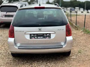 Peugeot 307 2005 Silver