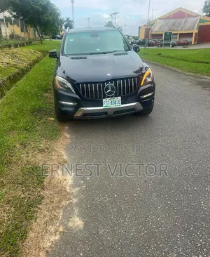 Mercedes-Benz M Class 2014 Blue