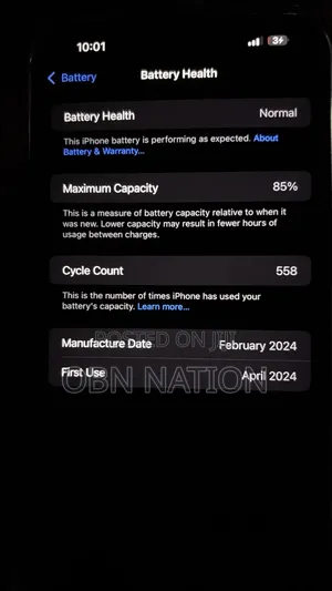Apple iPhone 15 Pro Max 256 GB Silver