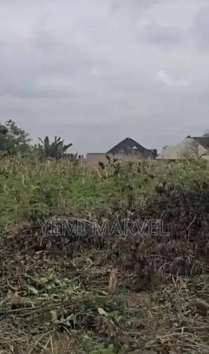 Plots of Land at Peace Estate, Off Olorunda-Aba Akobo Ibadan.