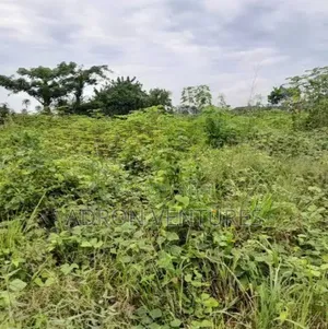 1,000sqm Land