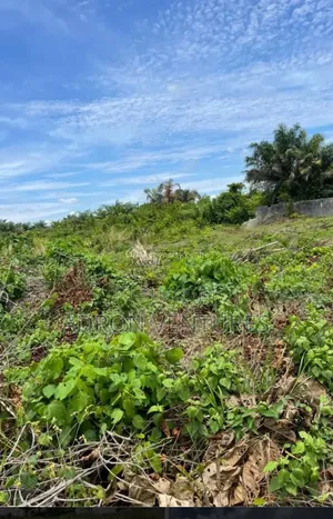 1,000sqm Land