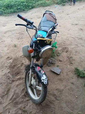 TVS HLX Plus ES 2023 Green