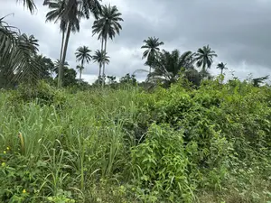 Farm Land for Sale in Ijebu