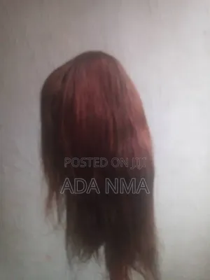 Human Hair Wig