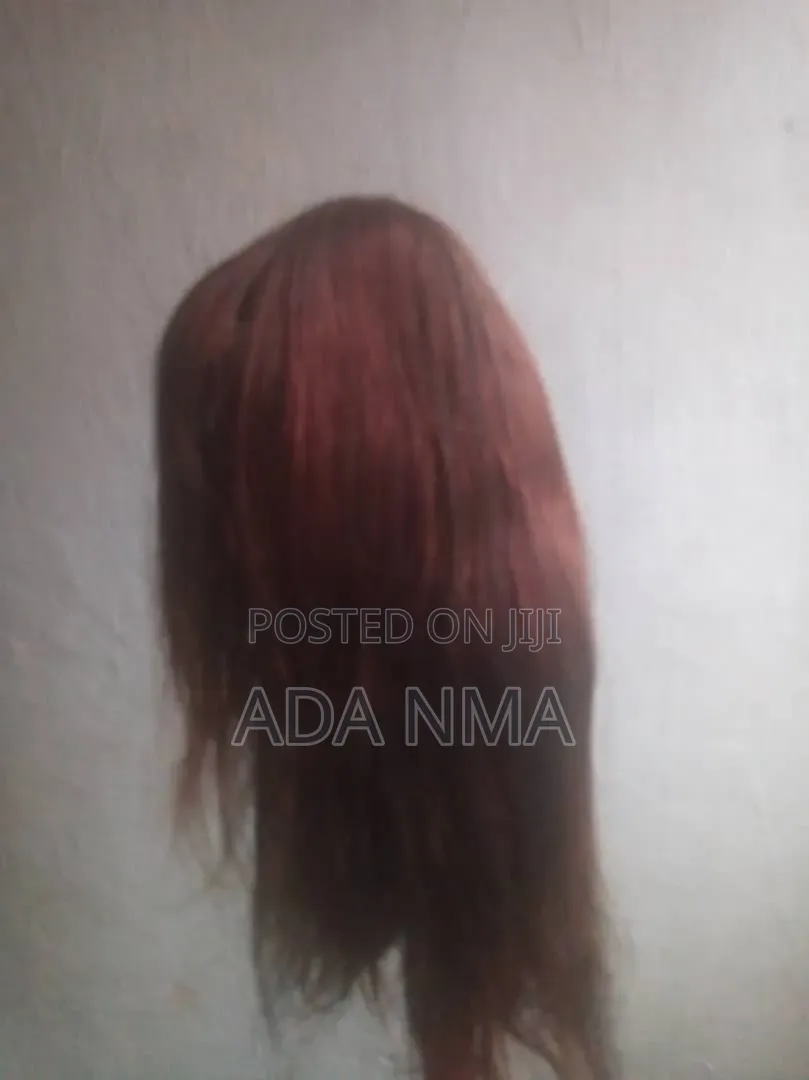 Human Hair Wig