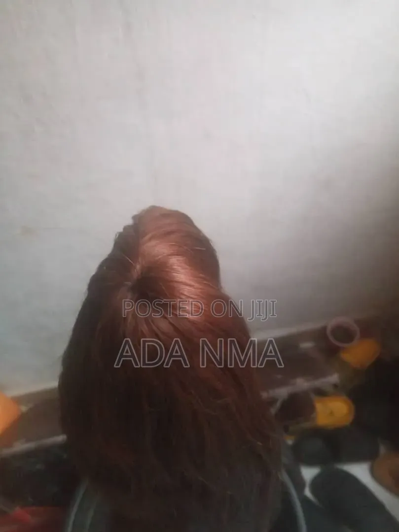 Human Hair Wig