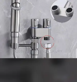 2 in 1 Shower Bidet