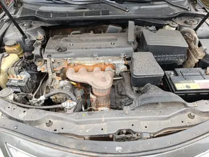 Toyota Camry 2009 Gray