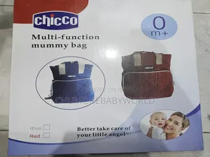 Chico Back Diaper Bag