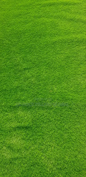Artificial Grass Carpet