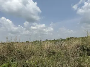 Ijebu Farmland for Sale.