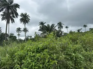 Ijebu Farmland for Sale.